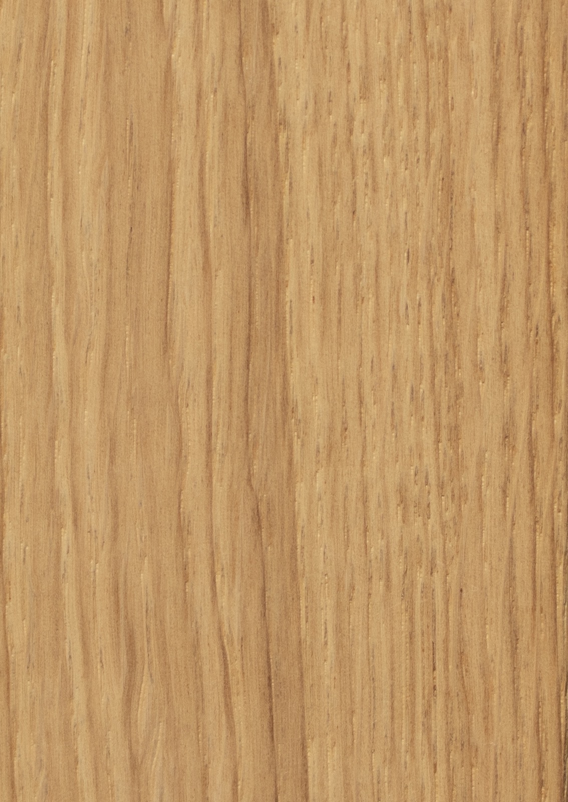 Lamelle in Echtholzfurnier Eiche aus der Nähe, gewachsene Holzmaserung